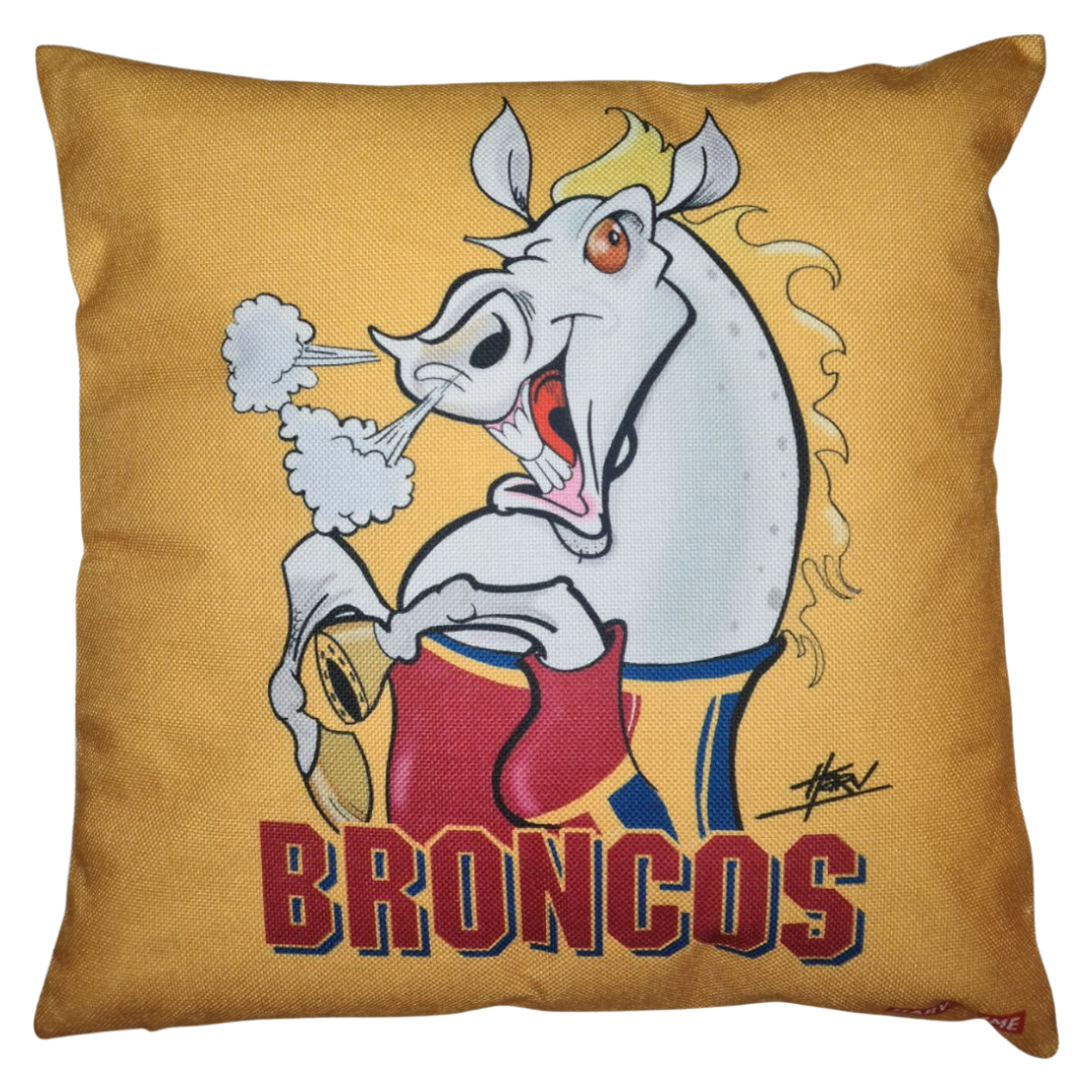 BRONCOS CUSHION + INSERT