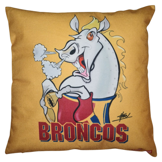 BRONCOS CUSHION + INSERT