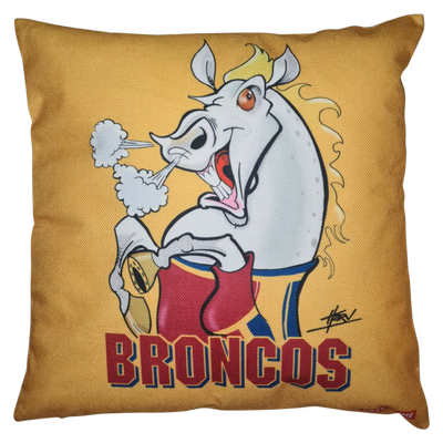 BRONCOS CUSHION + INSERT