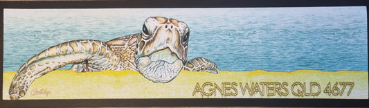 AGNES WATER TURTLE BAR RUNNER 890MM X 240MM