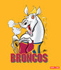 BRONCOS NRL POLAR FLEECE BLANKET