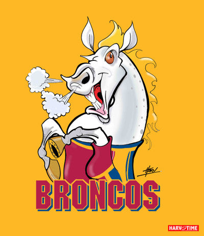 BRONCOS NRL POLAR FLEECE BLANKET