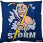 STORM CUSHION COVER +INSERT