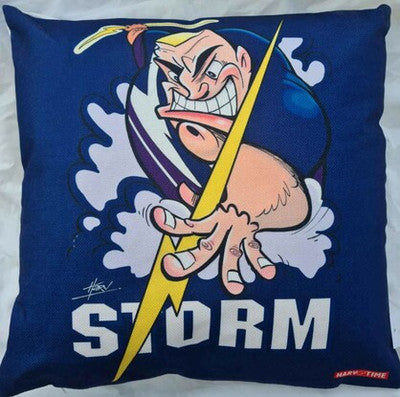 STORM CUSHION COVER +INSERT