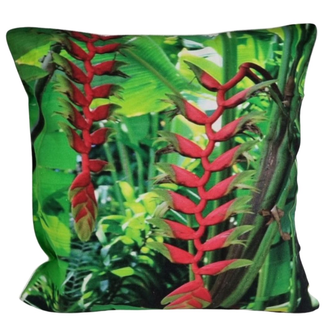 HELICONIA CUSH +INSERT