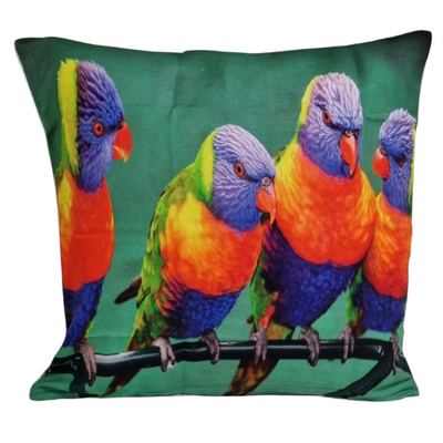 LORIKEETS CUSHION +INSERT